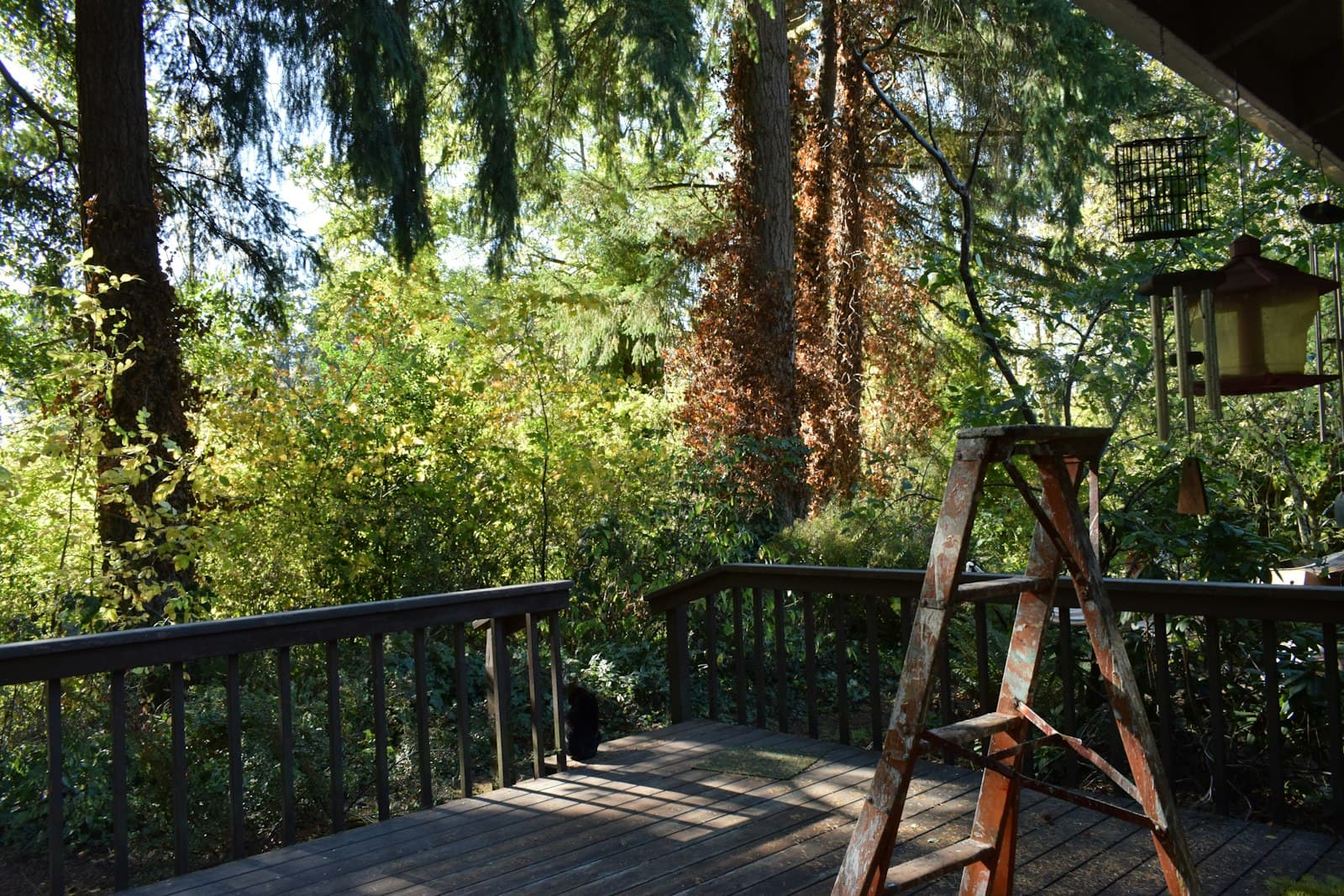 A pressure-treated wooden deck surrounded by lush green trees and foliage — the budget-tier backyard build that still dominates the GTA market in 2026.